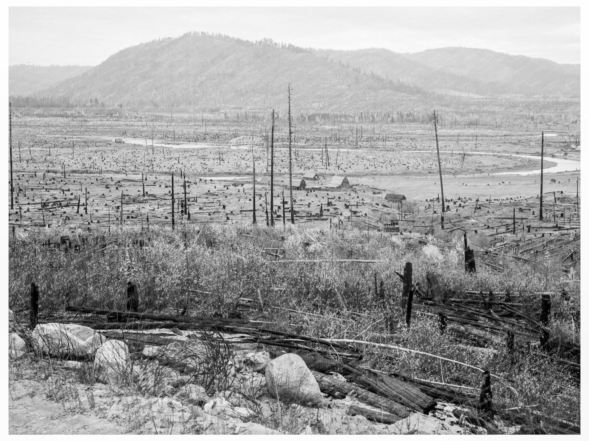 Priest River Valley Farms Bonner County Idaho 1939 - Available at KNOWOL