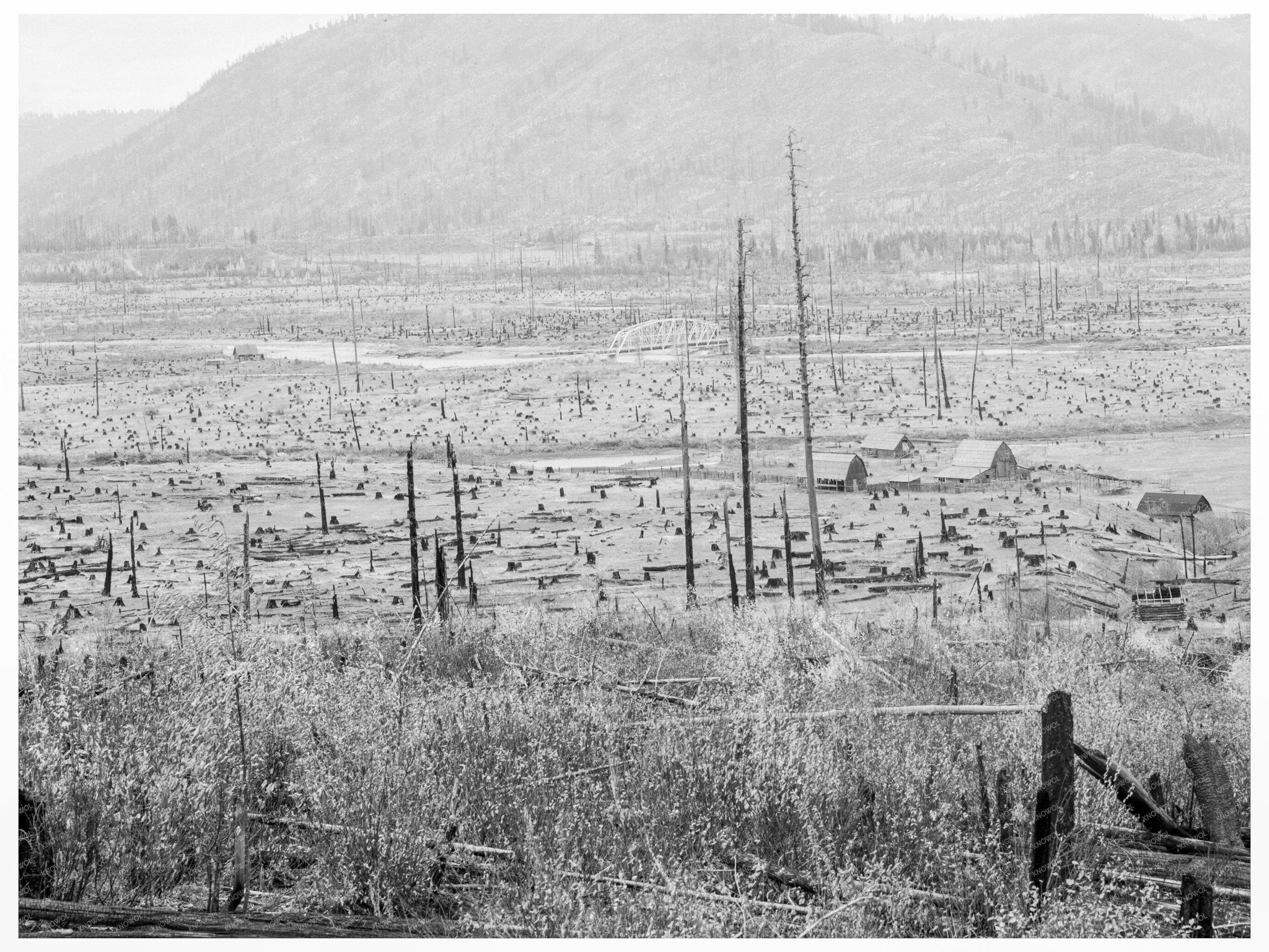 Priest River Valley Idaho Farms October 1939 Photo - Available at KNOWOL