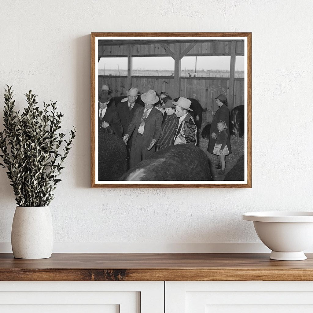 Prize Beef Steers at San Angelo Fat Stock Show 1940 - Available at KNOWOL