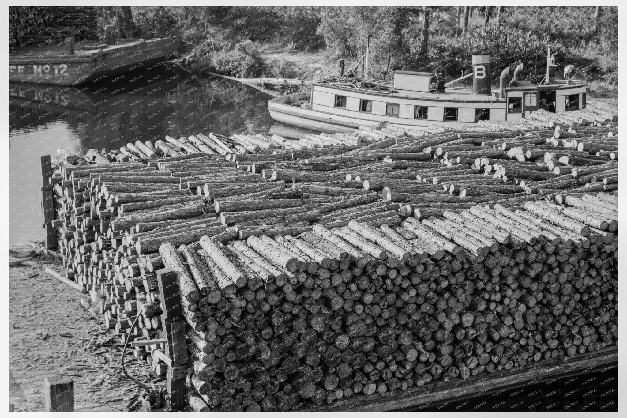 Pulp Wood Transport on River Styx Baldwin County 1937 - Available at KNOWOL