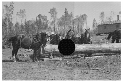 Pulpwood Loading Camp Effie Minnesota 1937 Image - Available at KNOWOL