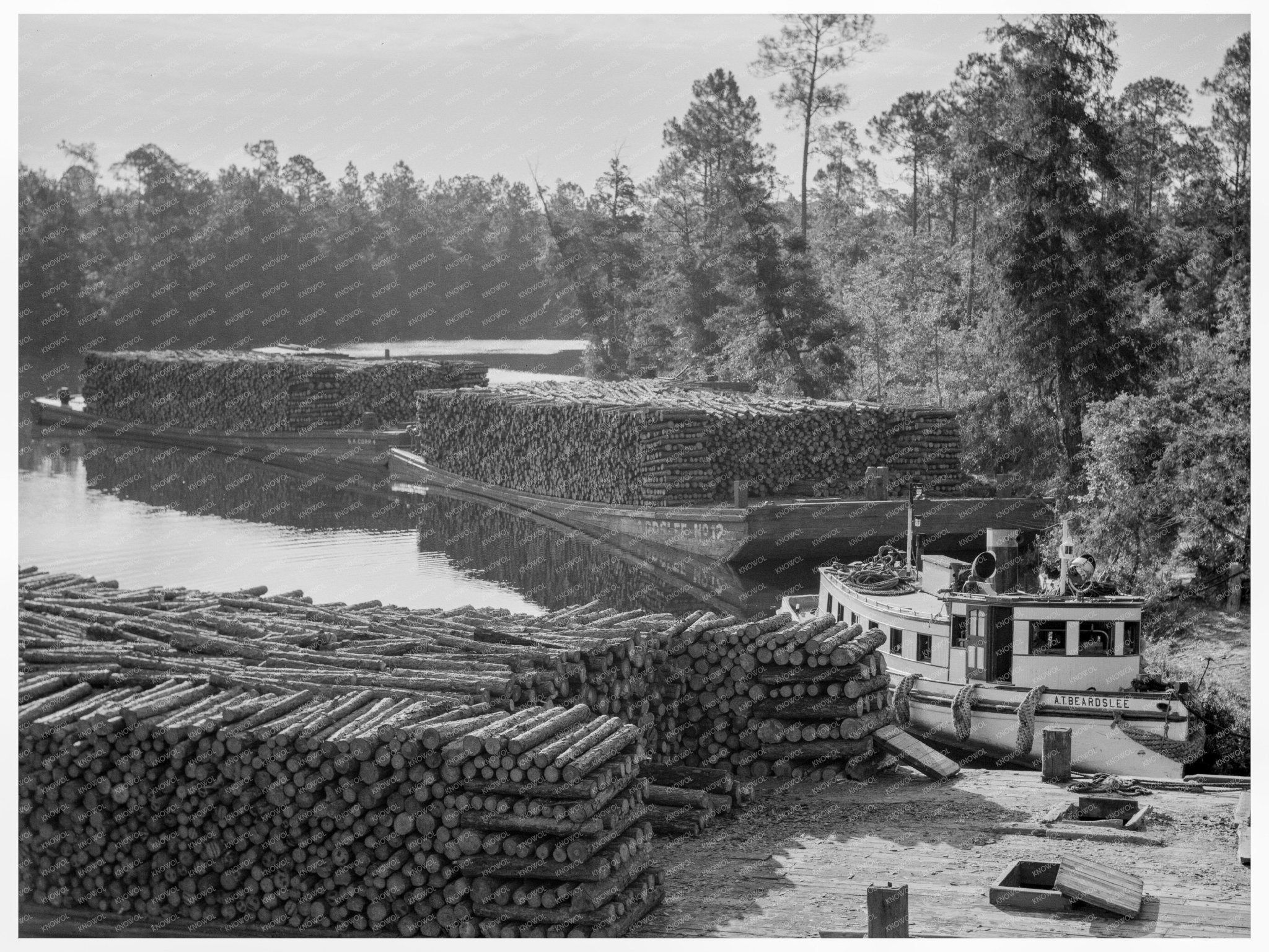 Pulpwood Transport on River Styx Alabama July 1937 - Available at KNOWOL