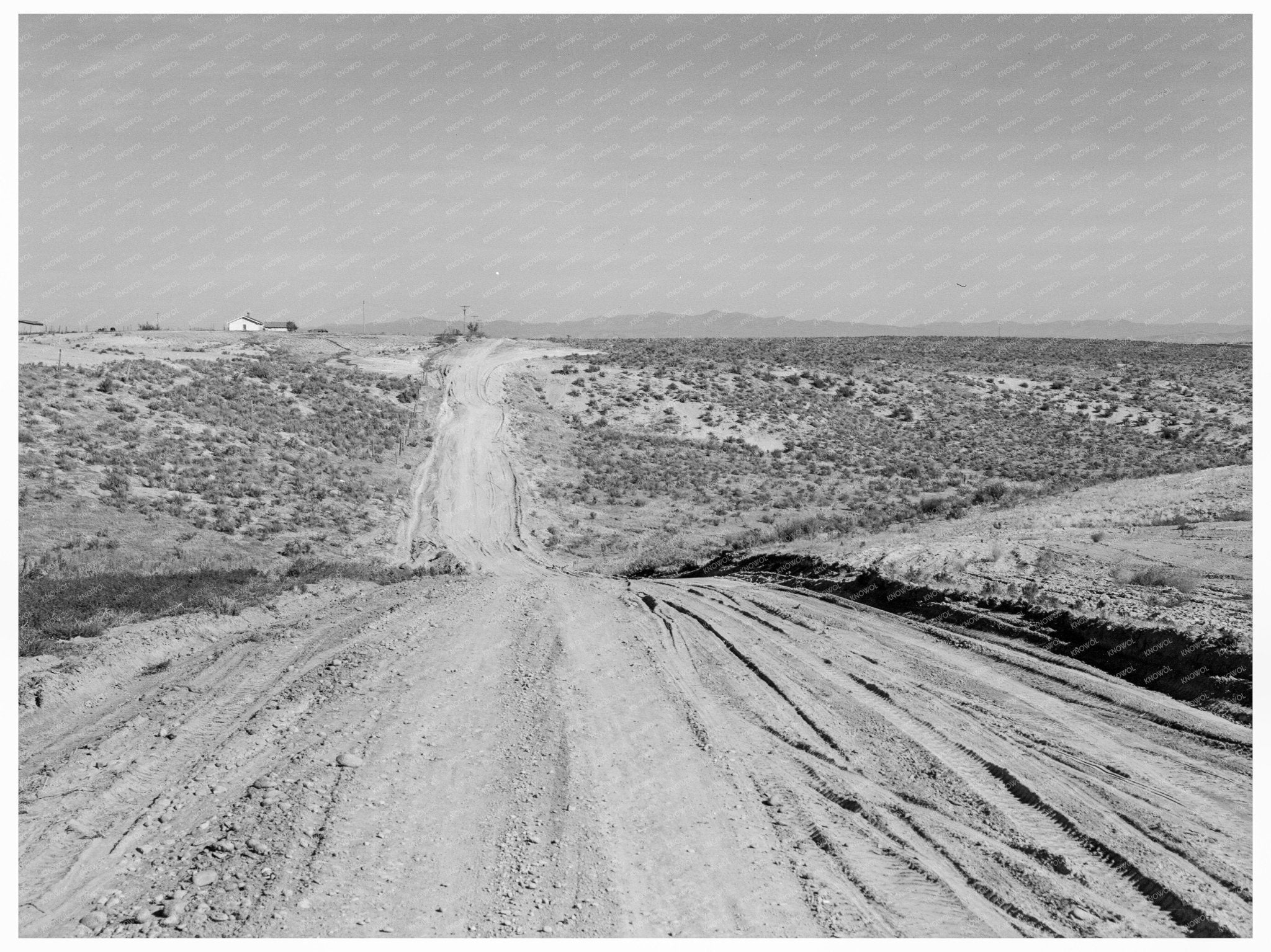 Reclaimed Bench Land in Dead Ox Flat Oregon 1939 - Available at KNOWOL