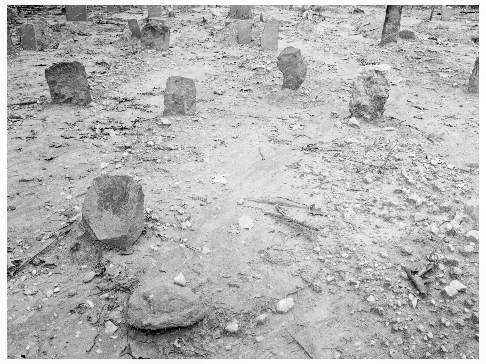 Red Clay Cemetery in Person County North Carolina 1939 - Available at KNOWOL