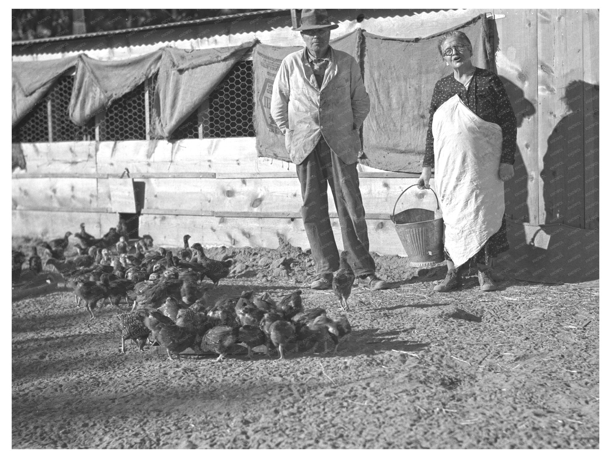 Rehabilitation Clients in Poultry Farming Maricopa County Arizona December 1935 - Available at KNOWOL