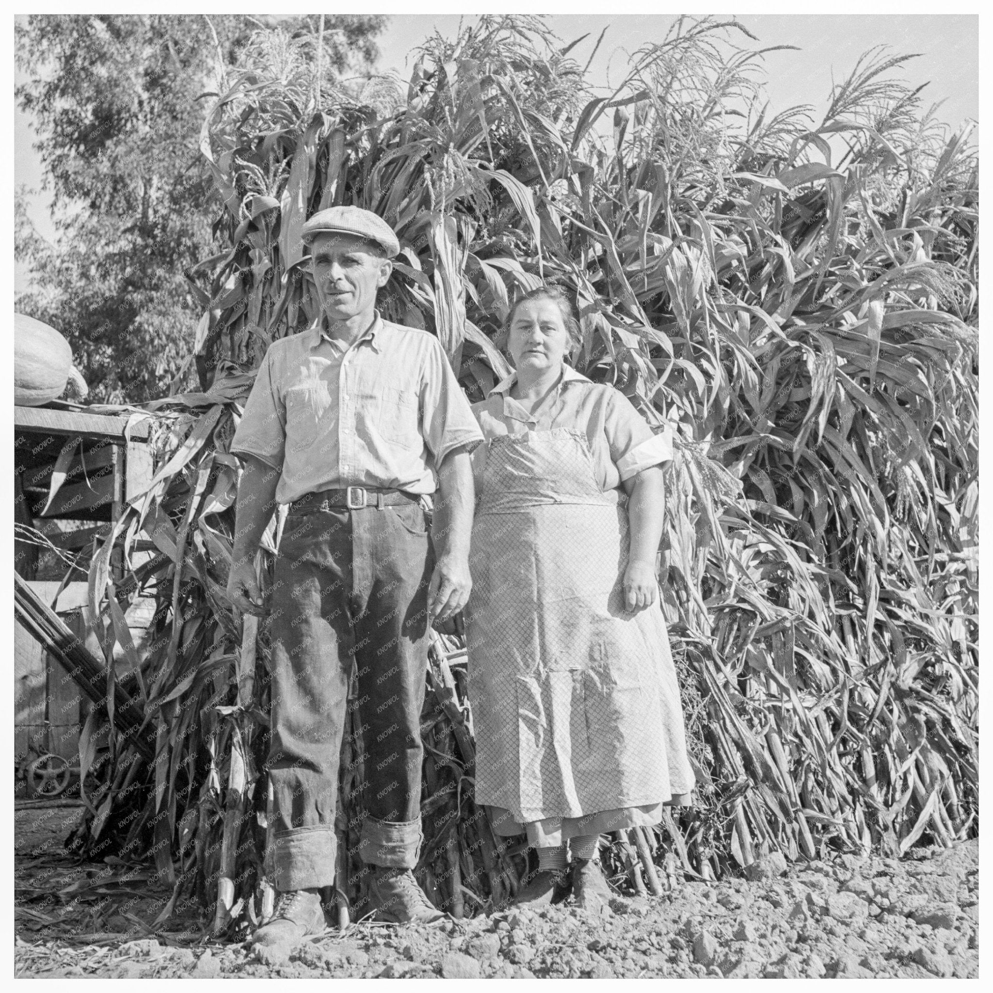 Rehabilitation Family Farming in Tulare County 1938 - Available at KNOWOL