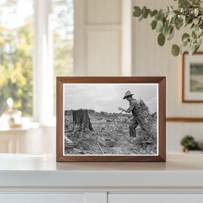 Removing Tomarack Stump in Idaho October 1939 - Available at KNOWOL