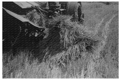 Rice Cutting with Binder in Crowley Louisiana 1938 - Available at KNOWOL