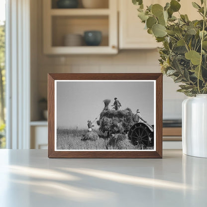 Rice Harvesting in Crowley Louisiana September 1938 - Available at KNOWOL