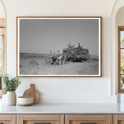 Rice Harvesting Scene in Crowley Louisiana 1938 - Available at KNOWOL