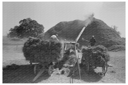 Rice Threshing in Crowley Louisiana September 1938 - Available at KNOWOL