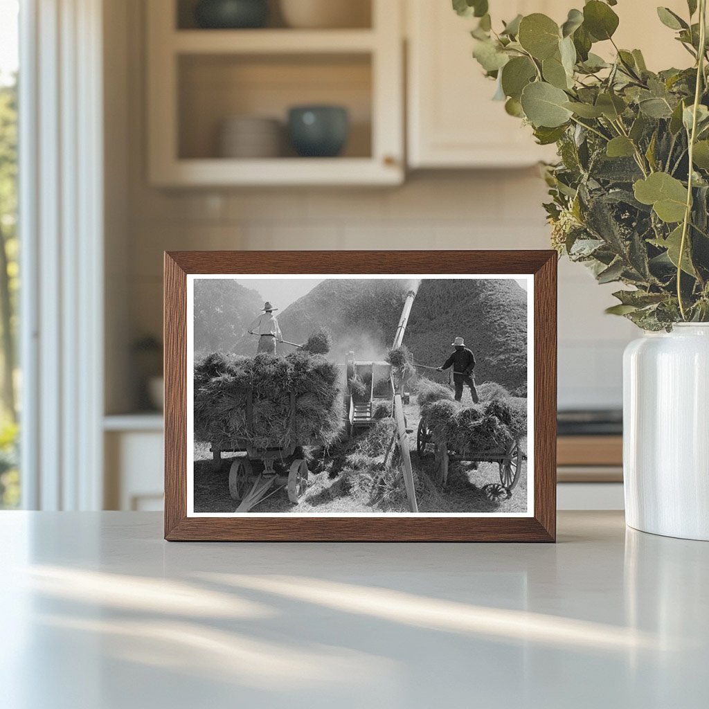 Rice Threshing Process in Crowley Louisiana 1938 - Available at KNOWOL