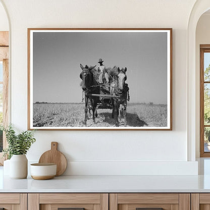 Rice Transportation Method in Crowley Louisiana 1938 - Available at KNOWOL