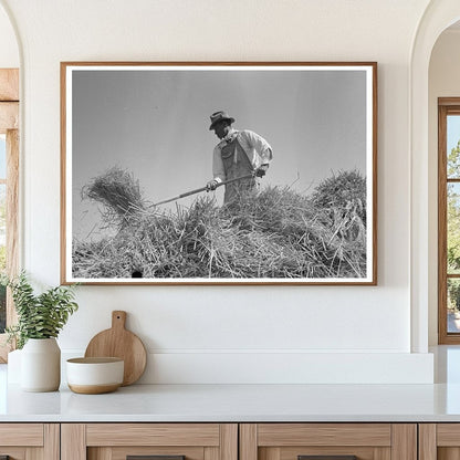 Rice Worker Pitching Bundles in Crowley Louisiana 1938 - Available at KNOWOL