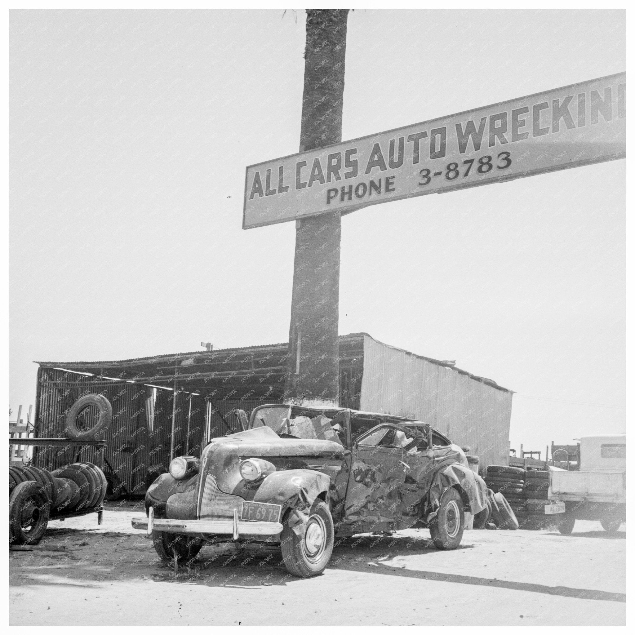 Roadside Scene on U.S. Highway 99 Tulare California 1939 - Available at KNOWOL