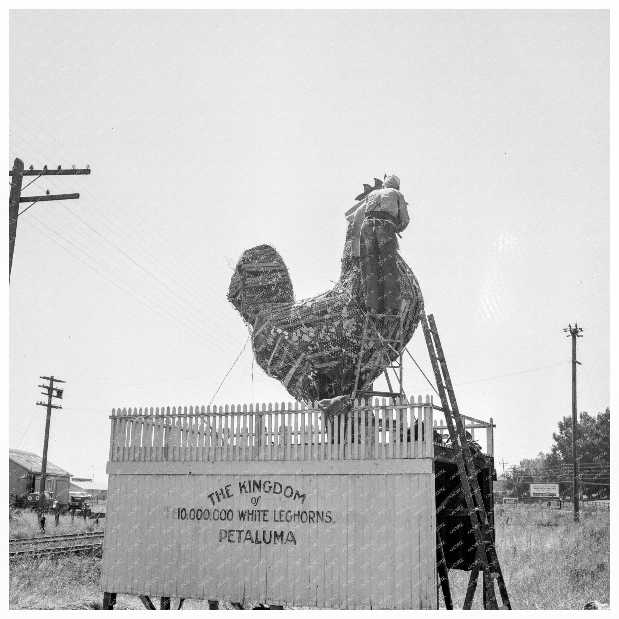 Roadside Sculpture Repair Petaluma California August 1939 - Available at KNOWOL