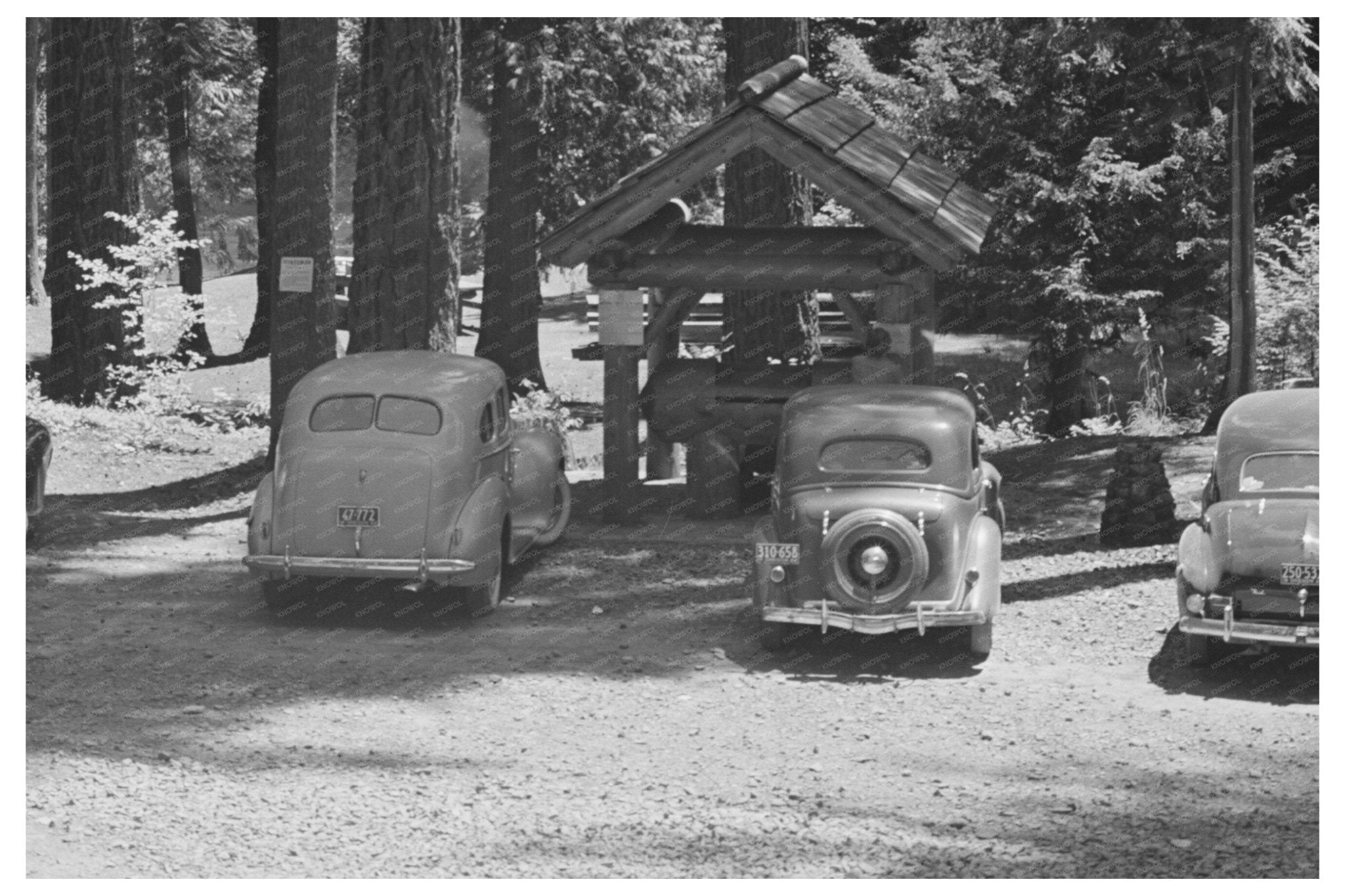 Rogue River National Forest Picnickers July 1942 - Available at KNOWOL