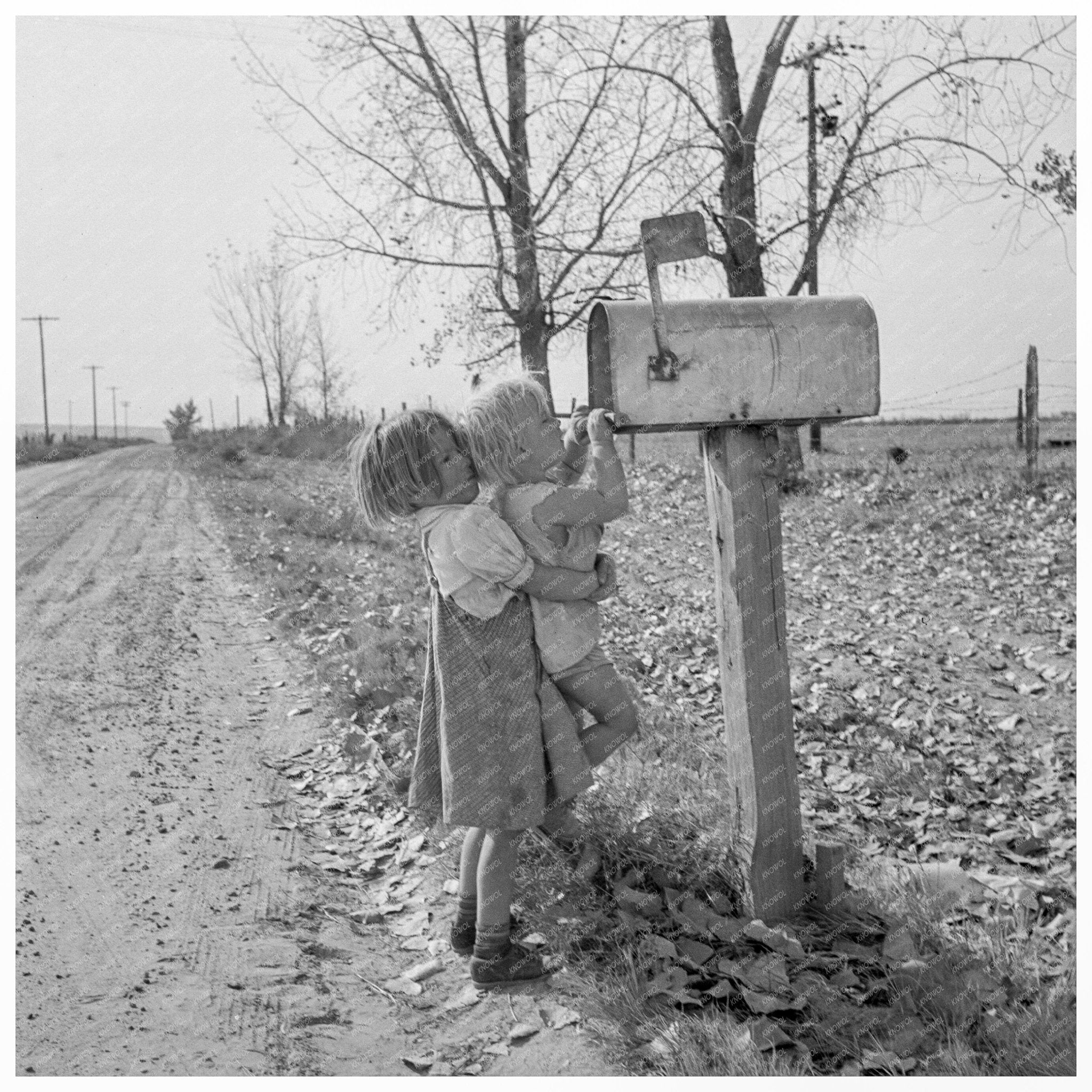 Rural Children by R.F.D. Box Fruitland Idaho 1939 - Available at KNOWOL