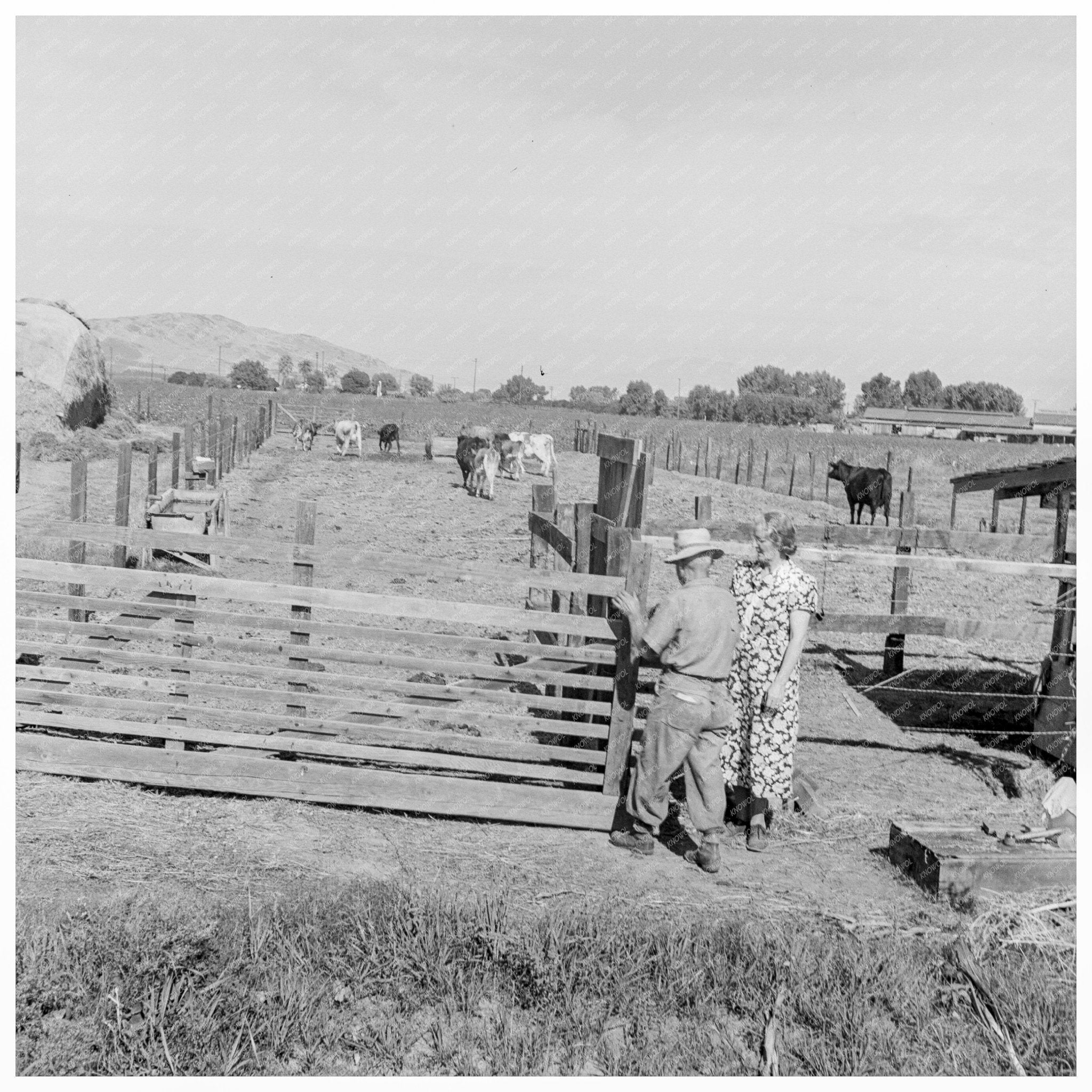 Rural Couples Farm Success in Tulare County 1938 - Available at KNOWOL