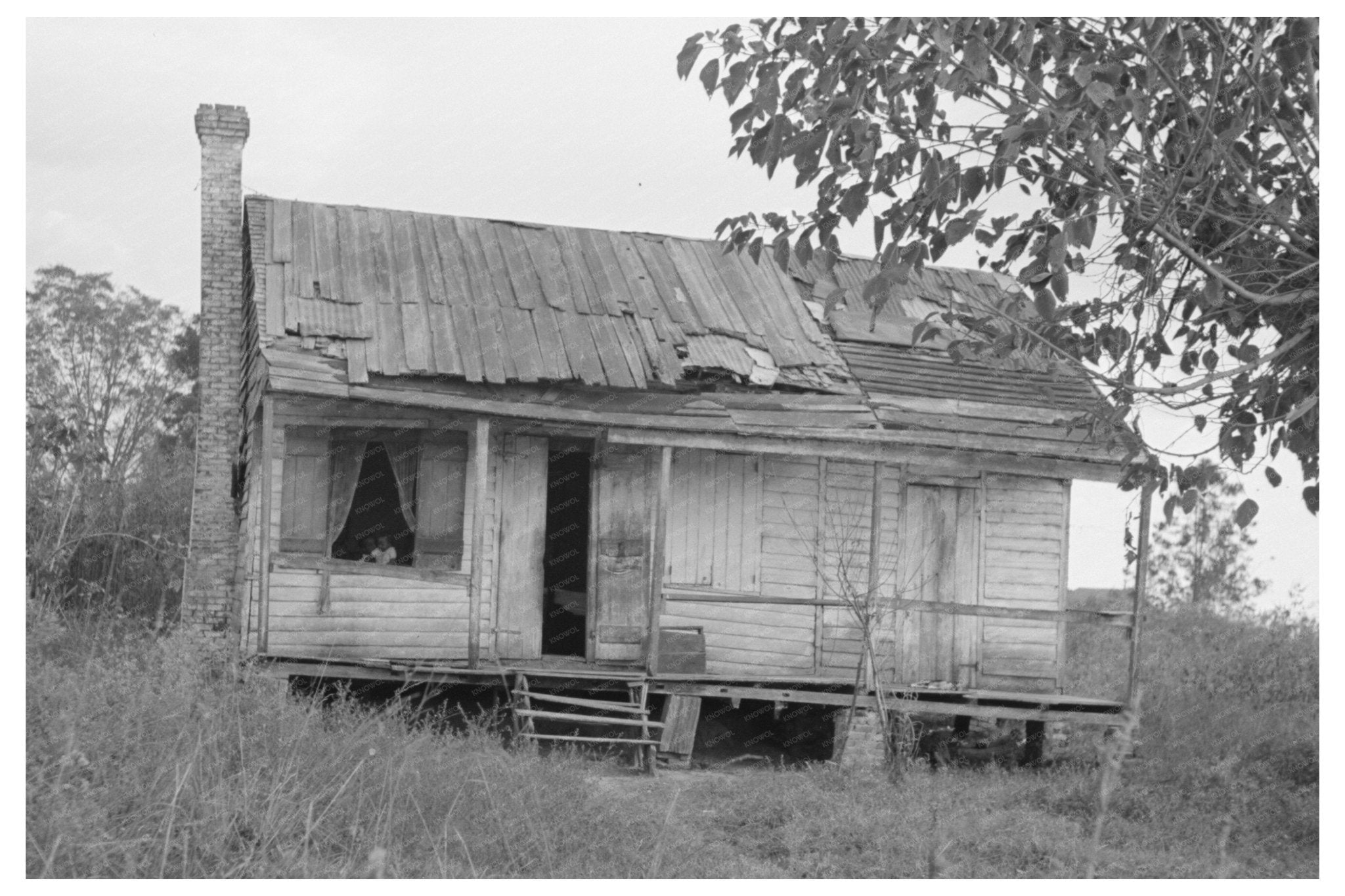 Rural Dwelling of Louisiana Farmers November 1938 - Available at KNOWOL