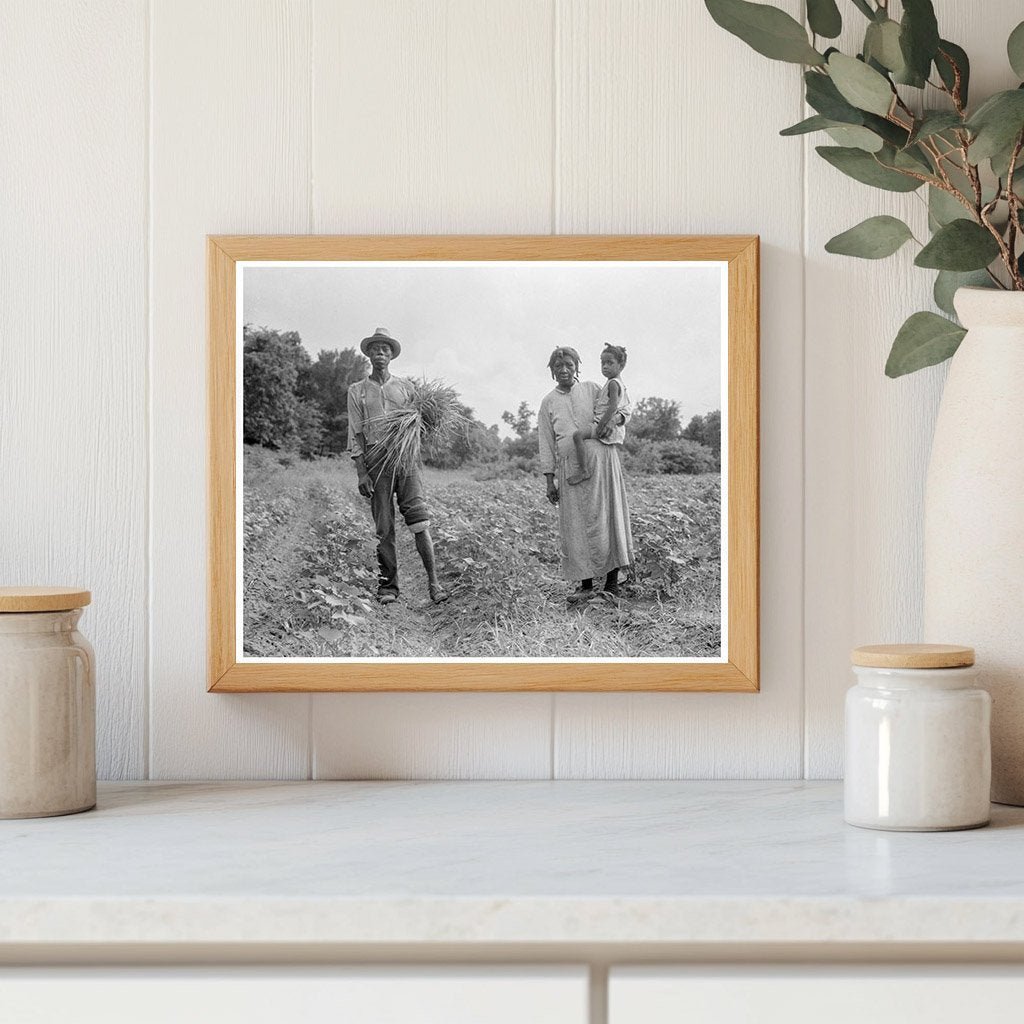 Rural Family on Cotton Patch Vicksburg Mississippi 1936 - Available at KNOWOL