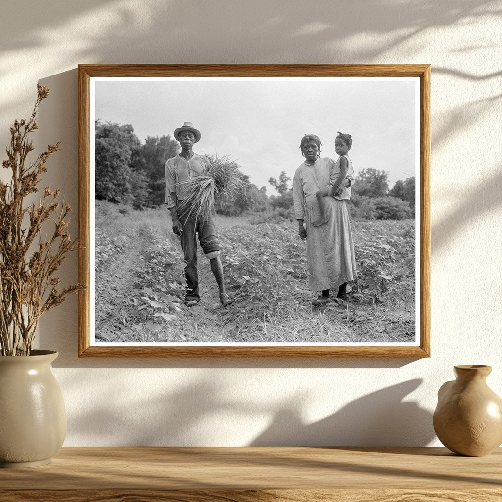 Rural Family on Cotton Patch Vicksburg Mississippi 1936 - Available at KNOWOL