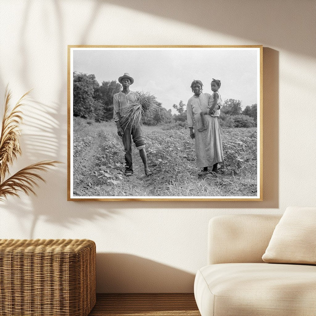 Rural Family on Cotton Patch Vicksburg Mississippi 1936 - Available at KNOWOL