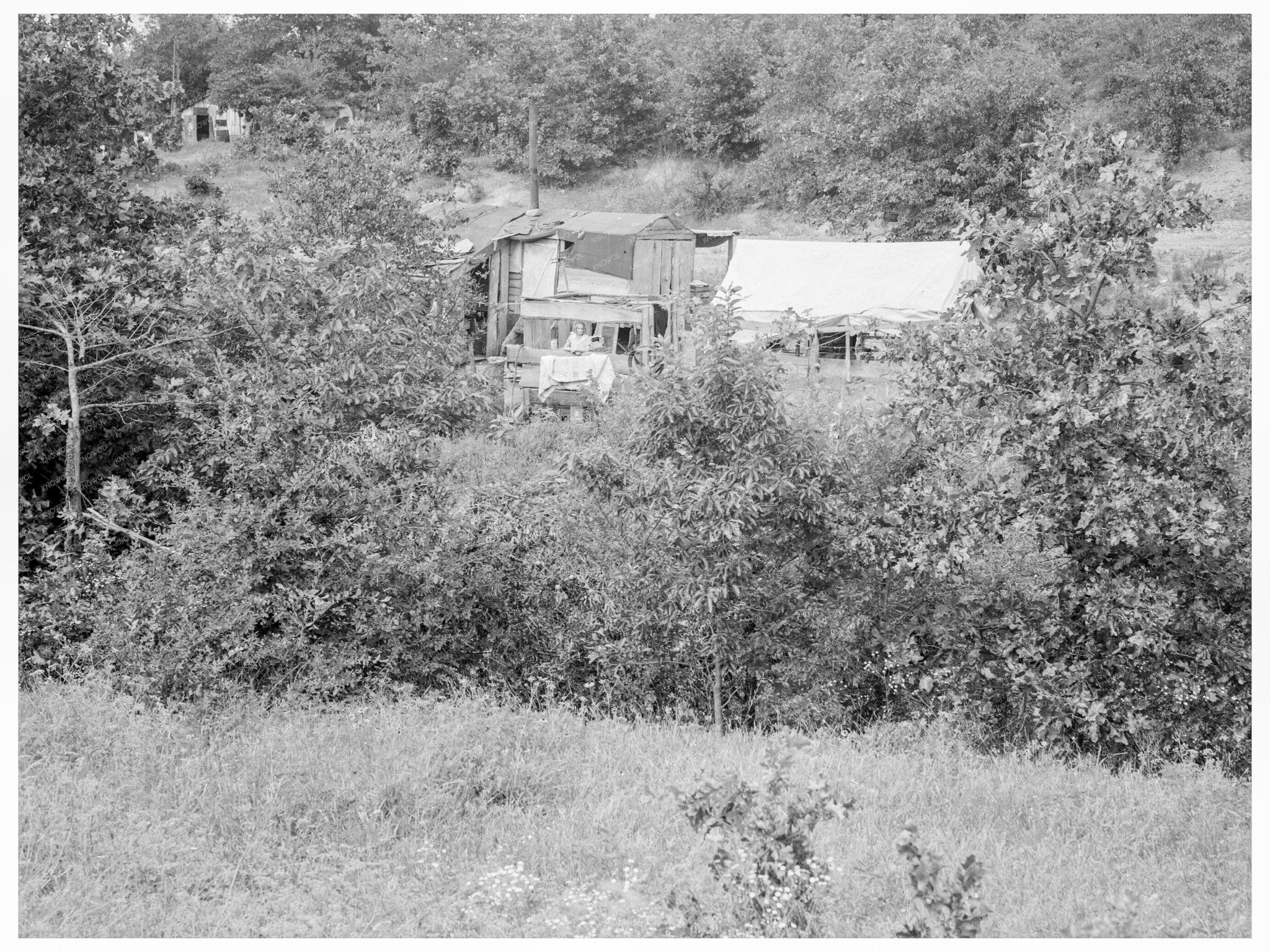 Rural Labor Scene in Atoka Oklahoma June 1938 - Available at KNOWOL