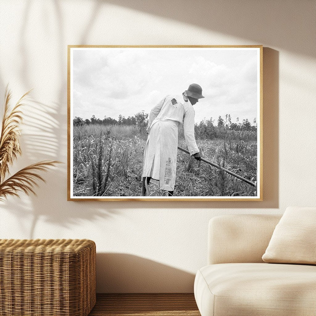 Rural Life in Mississippi 1936 Hoe Culture Photograph - Available at KNOWOL