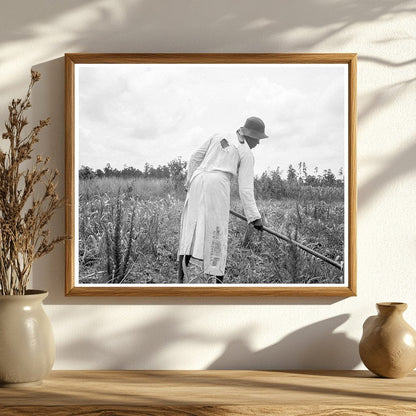 Rural Life in Mississippi 1936 Hoe Culture Photograph - Available at KNOWOL