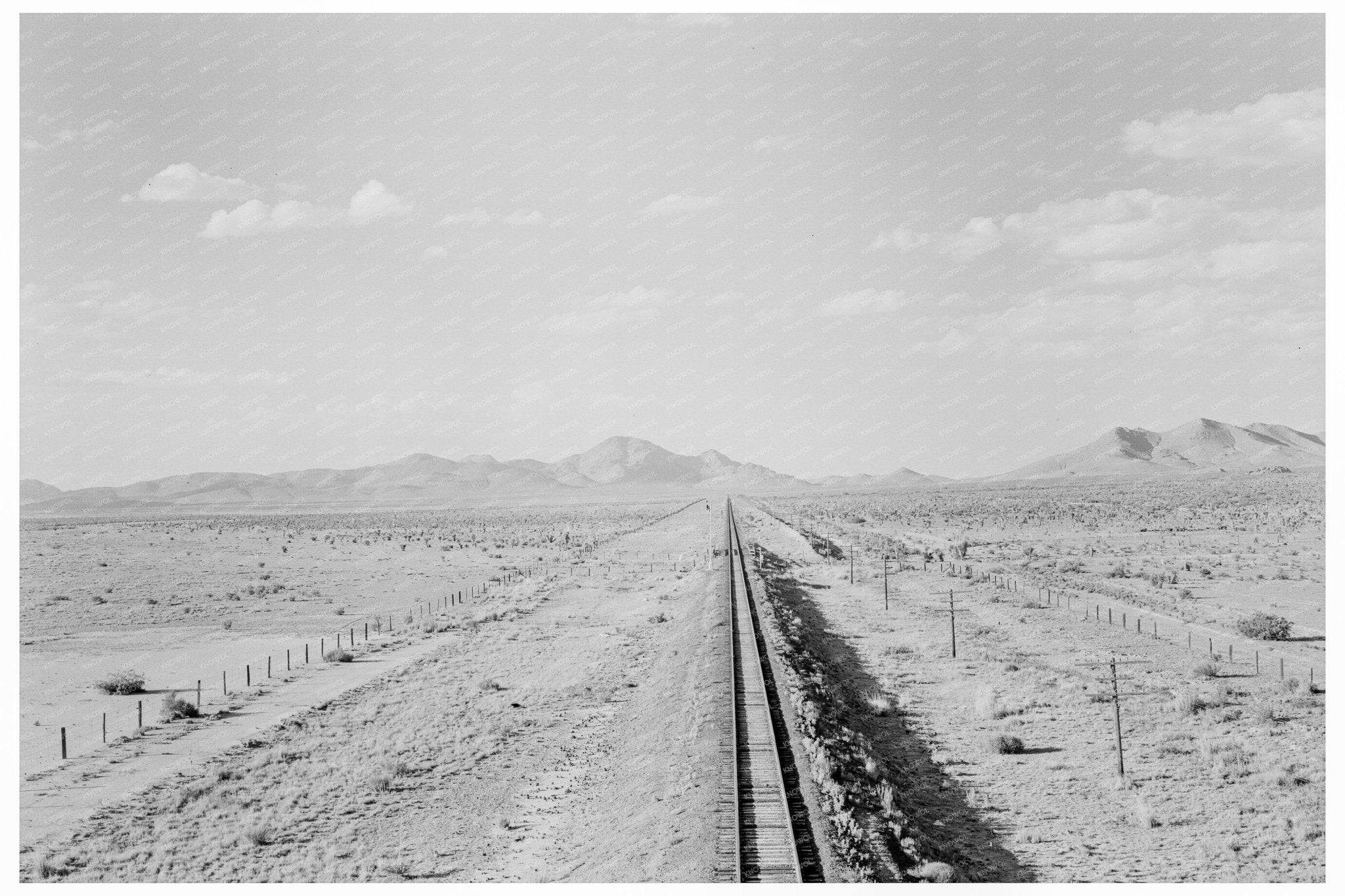 Rural New Mexico Landscape June 1938 Historical Image - Available at KNOWOL