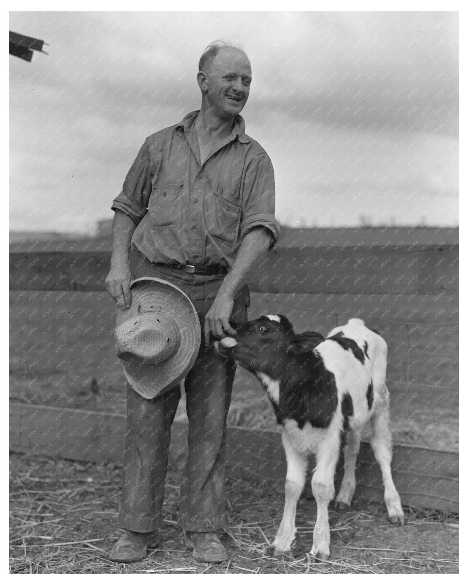 Rural Rehabilitation Administration Clients Hayward California February 1936 Photograph - Available at KNOWOL