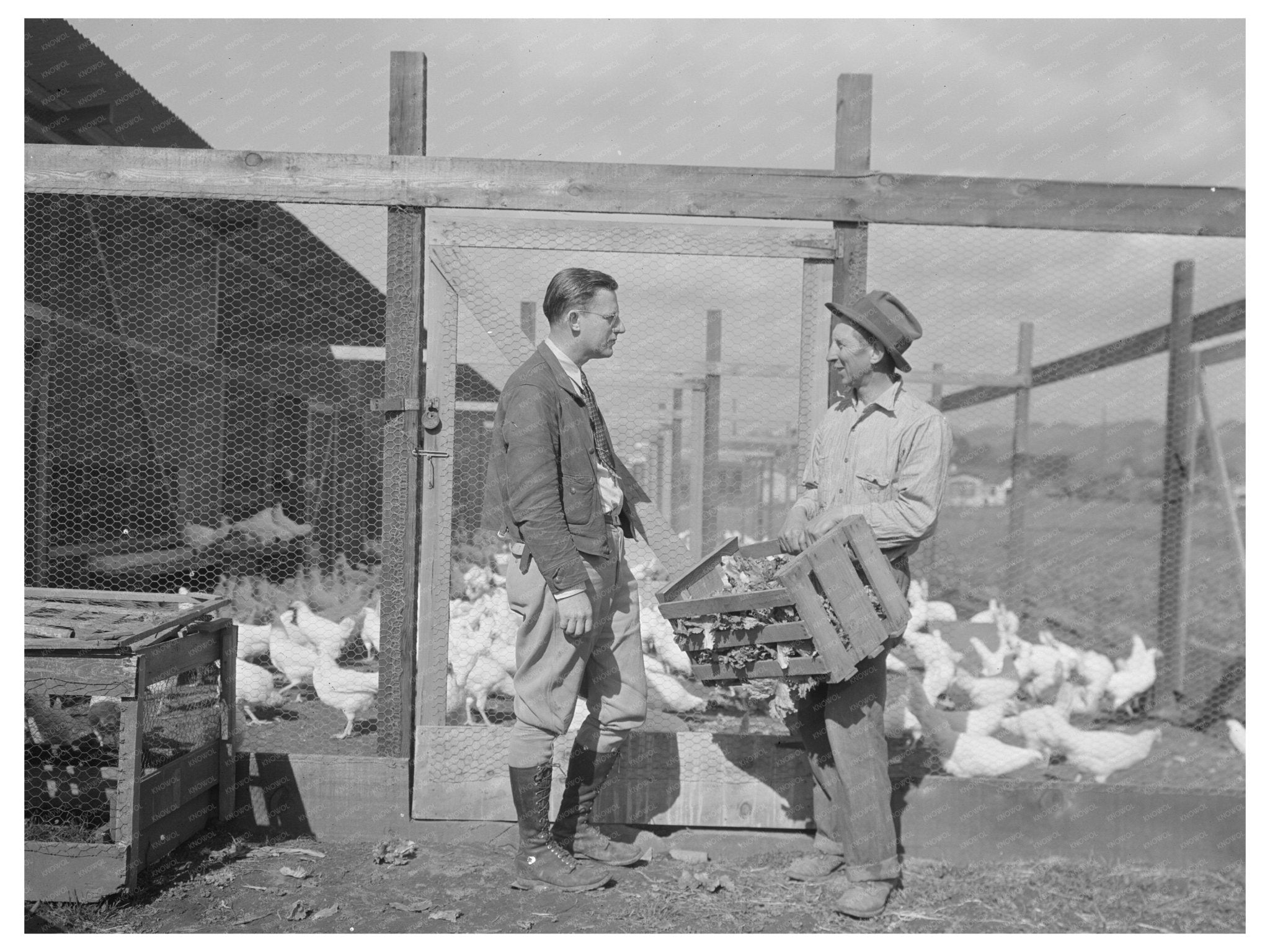 Rural Rehabilitation Aid for Farmers in Hayward, CA - 1936 New Deal Program - Available at KNOWOL