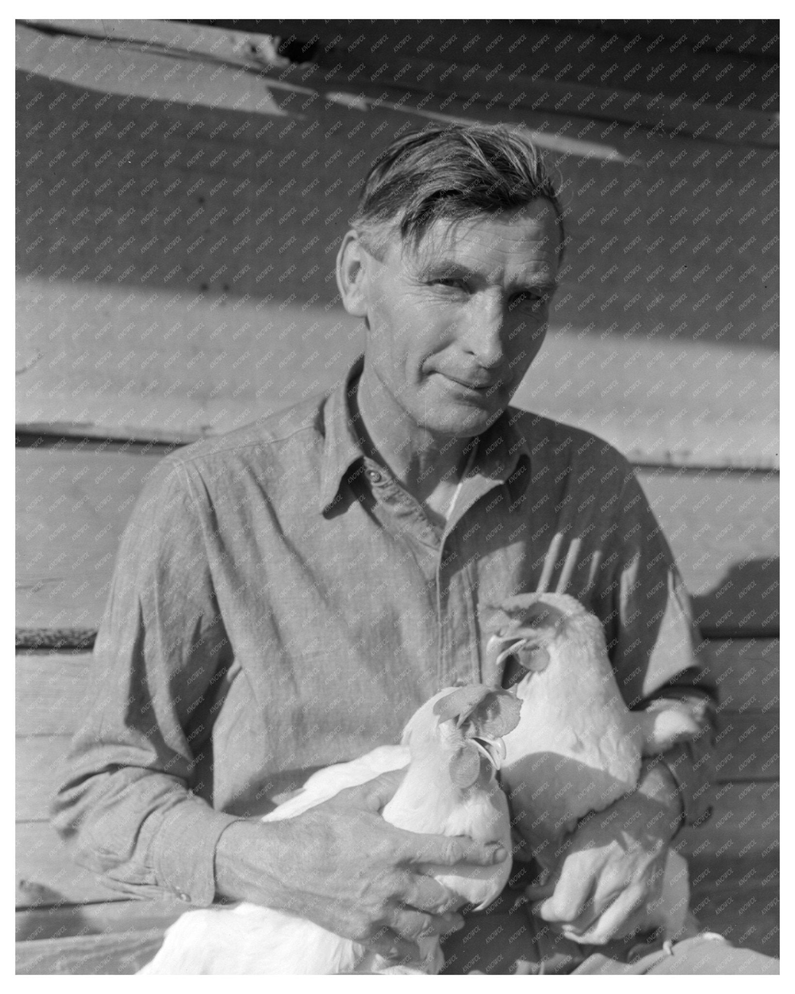 Rural Rehabilitation Chicken Farmer San Fernando Valley February 1936 Vintage Photo - Available at KNOWOL