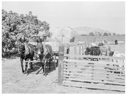 Rural Rehabilitation Client Tulare County 1938 - Available at KNOWOL