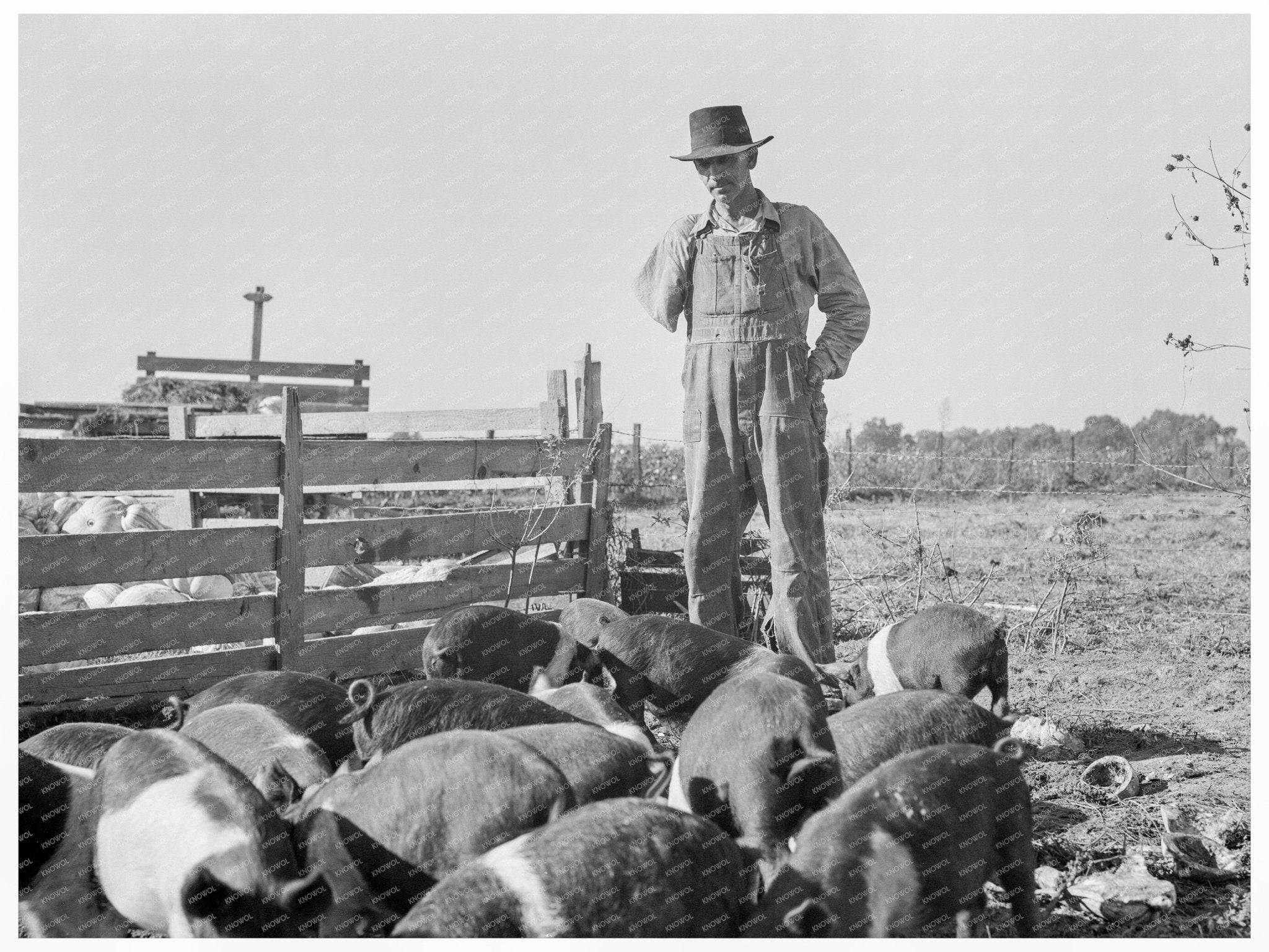 Rural Rehabilitation Client Tulare County California 1938 - Available at KNOWOL