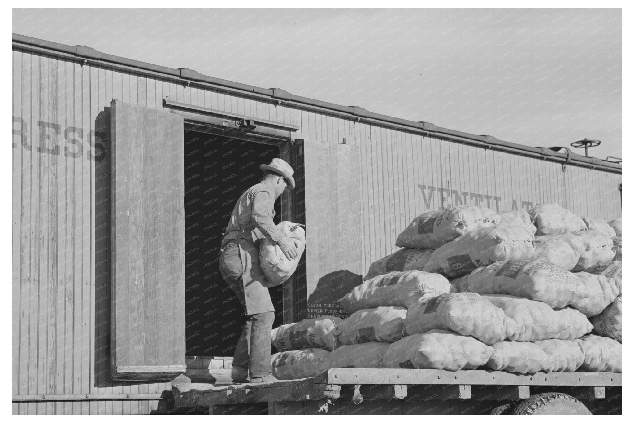 Sacked Potatoes Loading into Railroad Car Klamath County 1941 - Available at KNOWOL