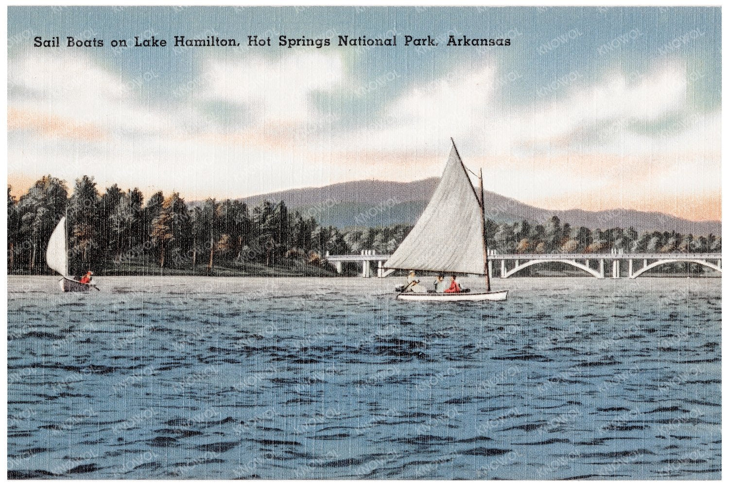 Sailboats on Lake Hamilton Vintage Postcard 1930 - 1945 - Available at KNOWOL