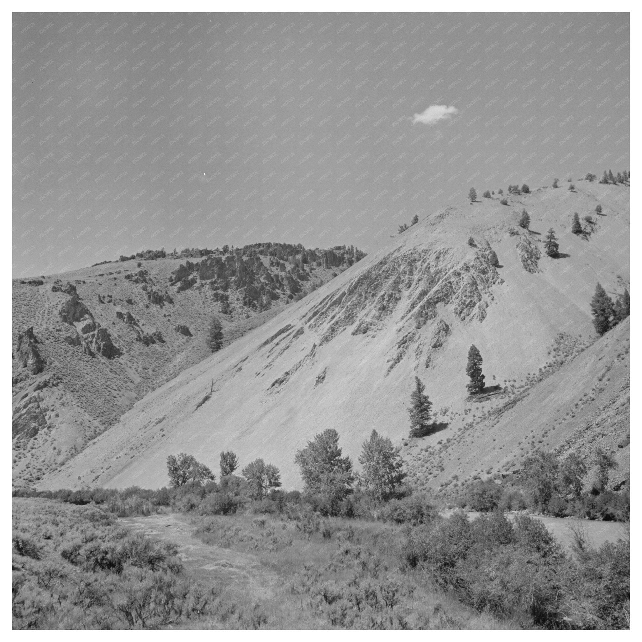 Salmon River Valley Custer County Idaho August 1942 Photo - Available at KNOWOL