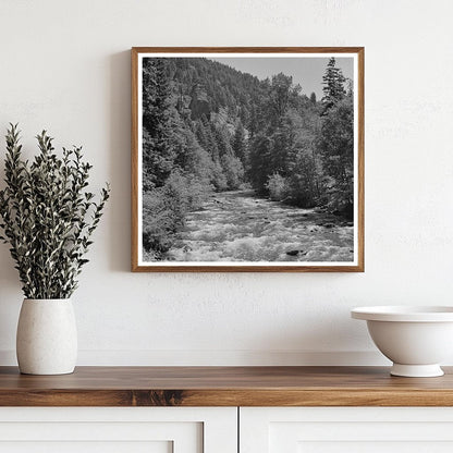 Salt Creek Willamette National Forest Oregon 1942 - Available at KNOWOL