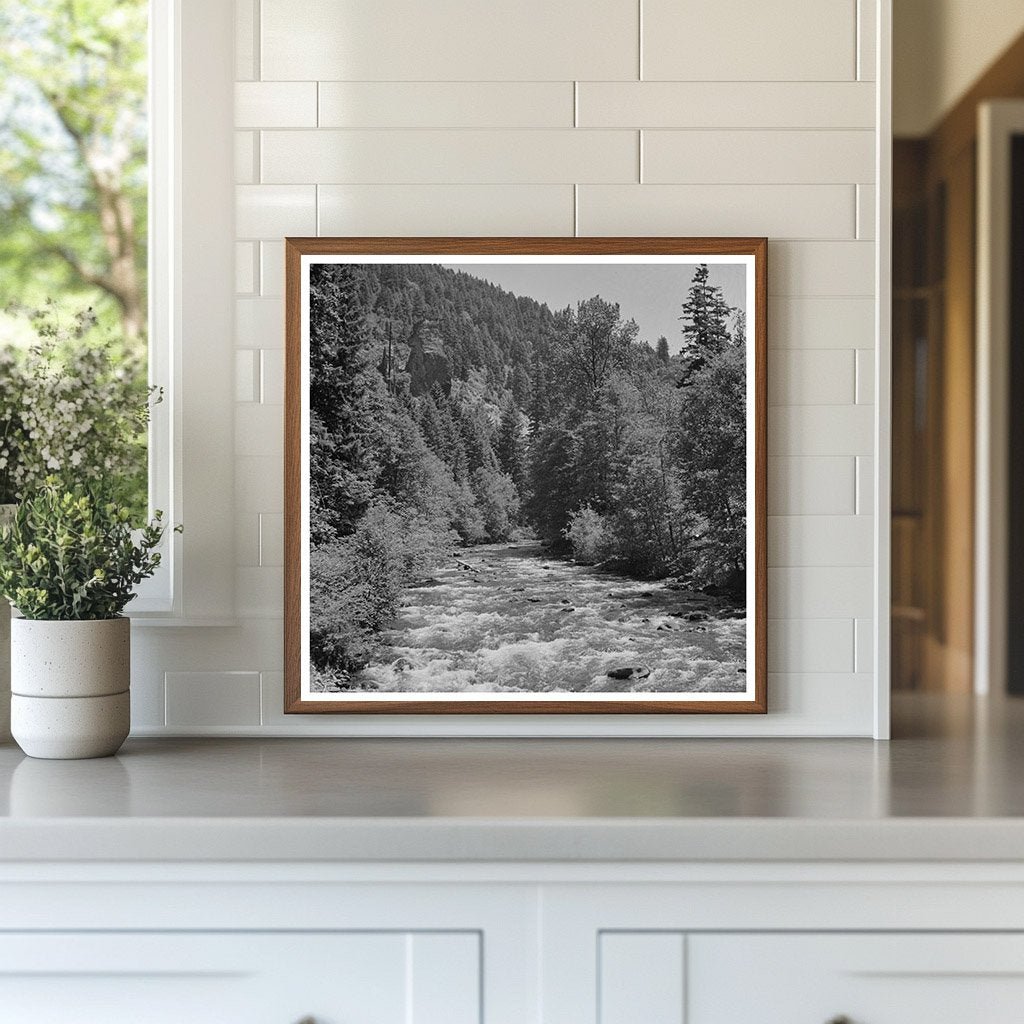 Salt Creek Willamette National Forest Oregon 1942 - Available at KNOWOL