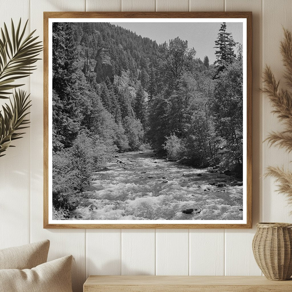 Salt Creek Willamette National Forest Oregon 1942 - Available at KNOWOL