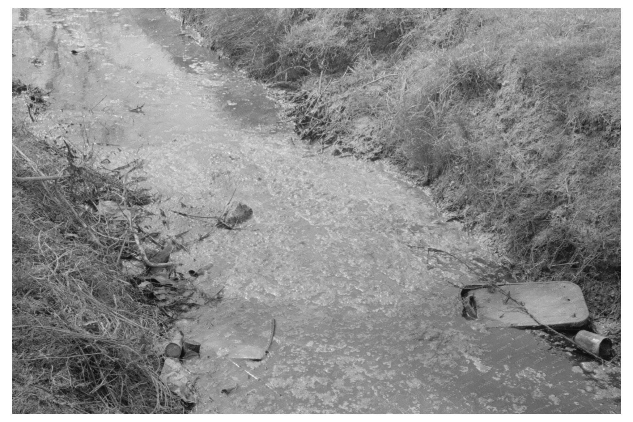 San Antonio Stream with Boys Swimming March 1939 - Available at KNOWOL