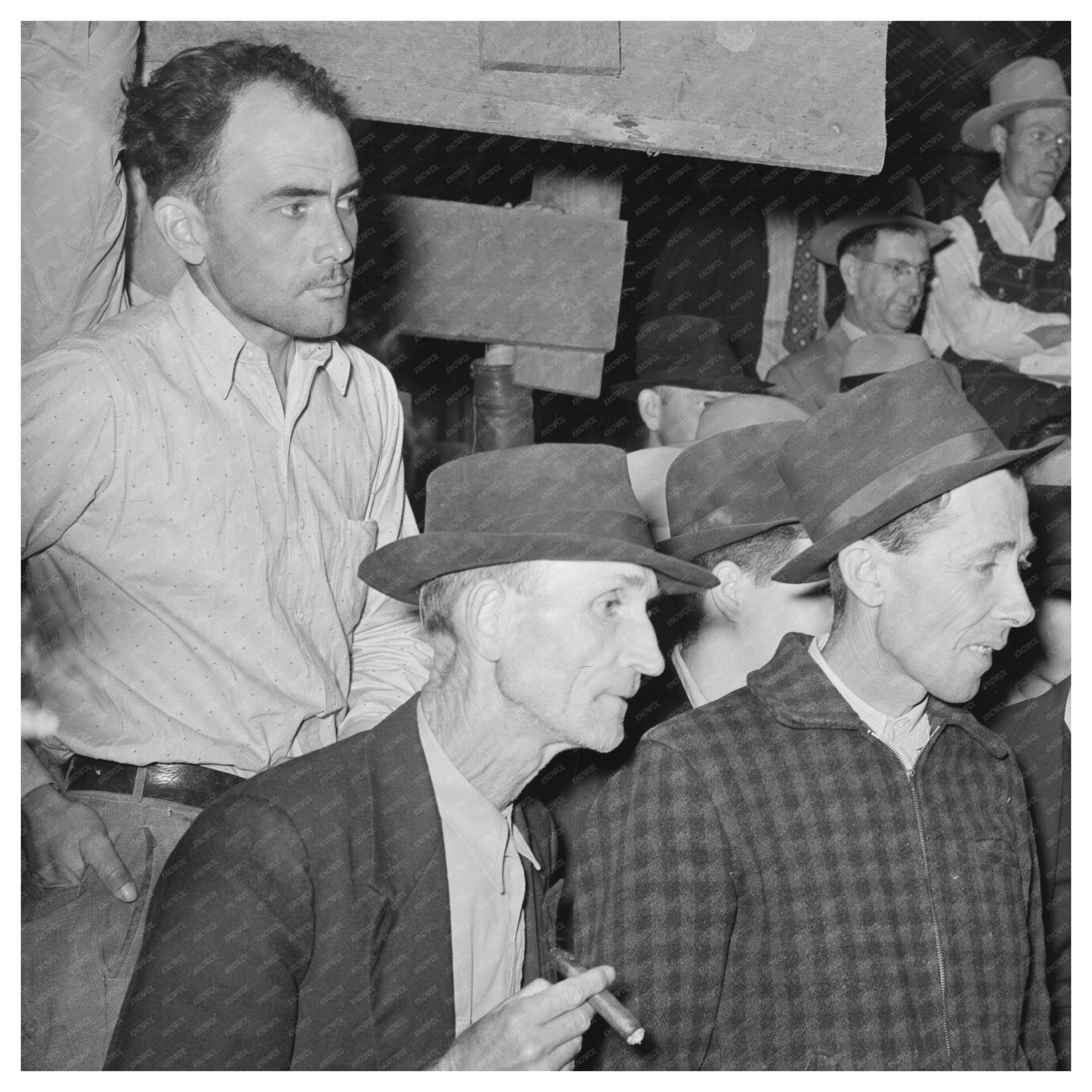 San Augustine Texas Cattle Auction April 1939 Image - Available at KNOWOL