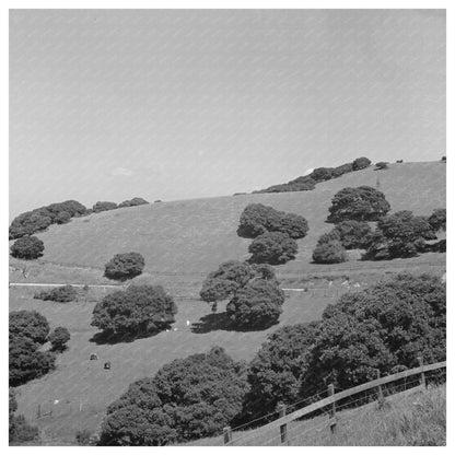 San Benito County California Landscape May 1942 - Available at KNOWOL