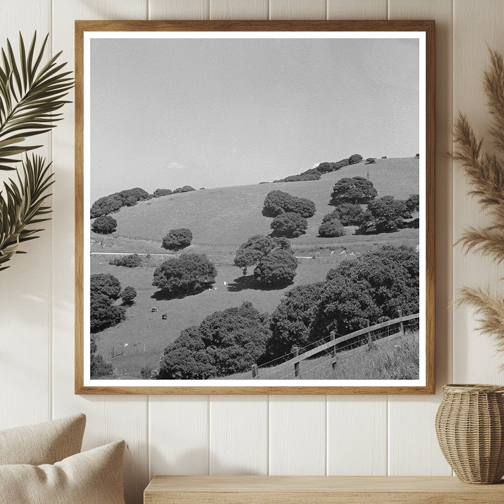 San Benito County California Landscape May 1942 - Available at KNOWOL