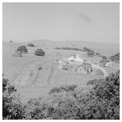 San Benito County Farmstead May 1942 Image - Available at KNOWOL