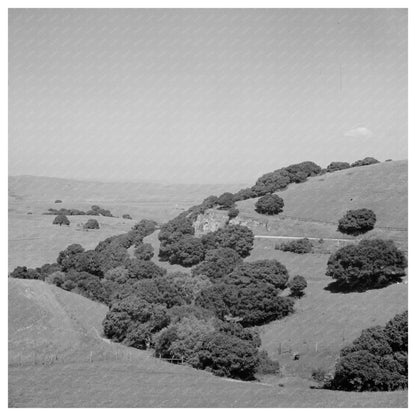 San Benito County Hills Vintage Photo May 1942 - Available at KNOWOL