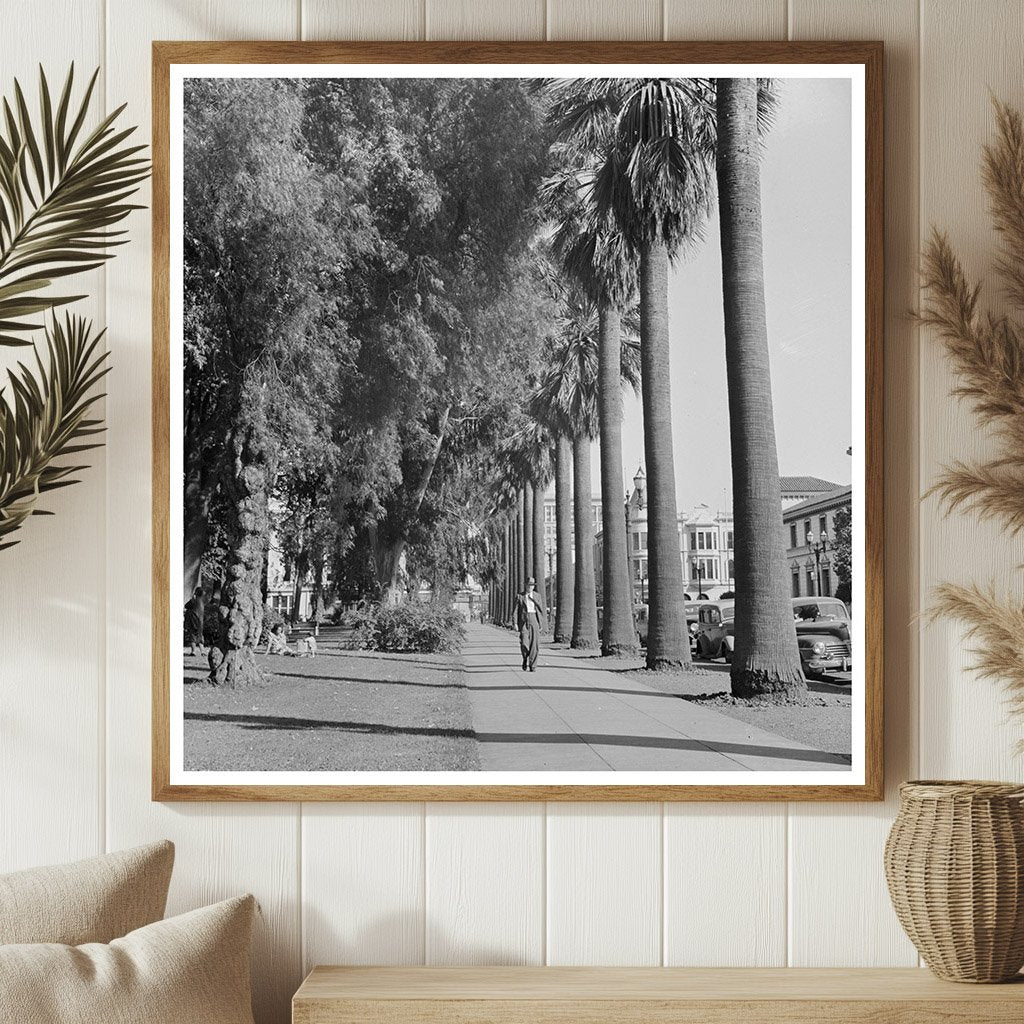 San Jose California Street Park Scene May 1942 - Available at KNOWOL