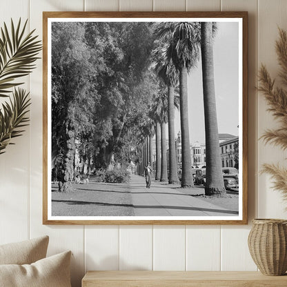 San Jose California Street Park Scene May 1942 - Available at KNOWOL